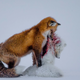 Illustration for article titled These Are the Best Wildlife Photographs of 2015